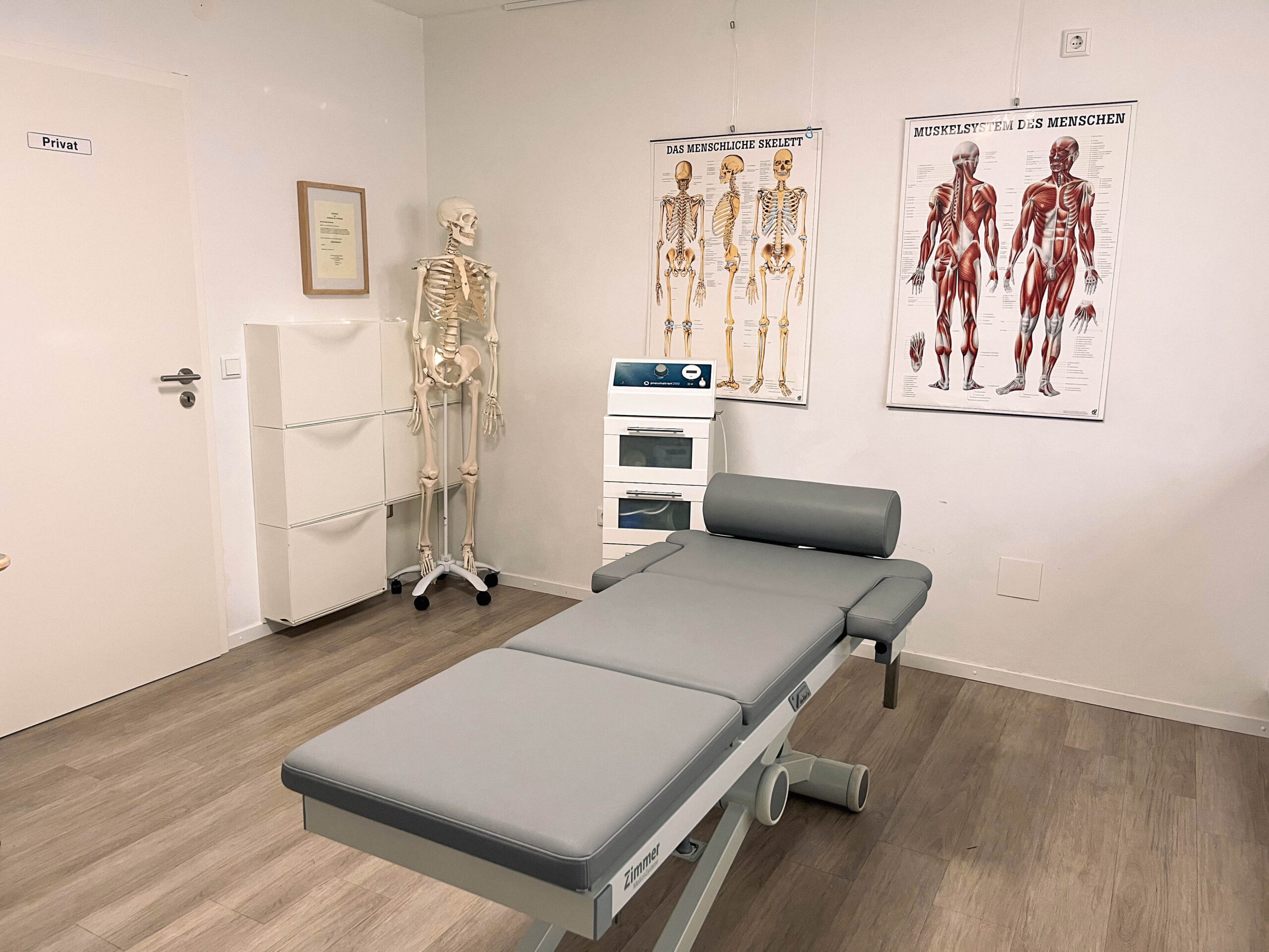 Behandlungszimmer mit Modellen von Muskel- und Knochenaufbau