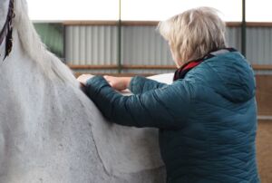 Therapeutin behandelt das weiße Pferd am Rücken